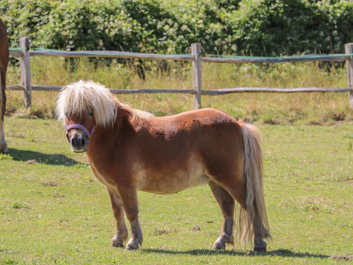 1 Paythorne Farm Cottages Henfield Buitenkant foto